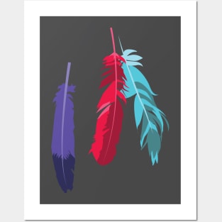 Indie feathers Posters and Art